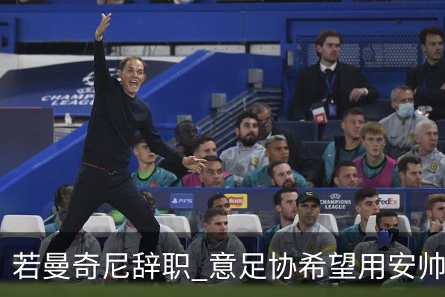 若曼奇尼辞职 意足协希望用安帅或卡纳瓦罗替代